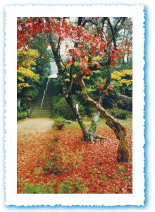 東山寺