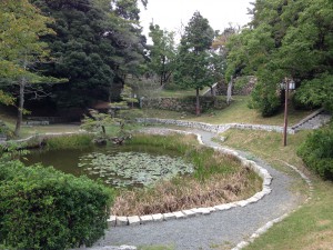 IMG_0808