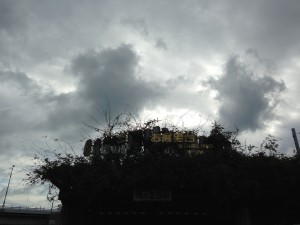 入り口。空がかっこいい