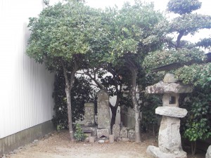 ③諭鶴羽神社＿束田